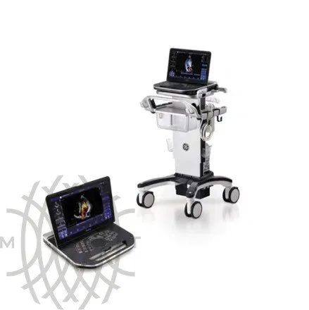 Ультразвуковая диагностическая система GE HealthCare Vivid iQ портативная