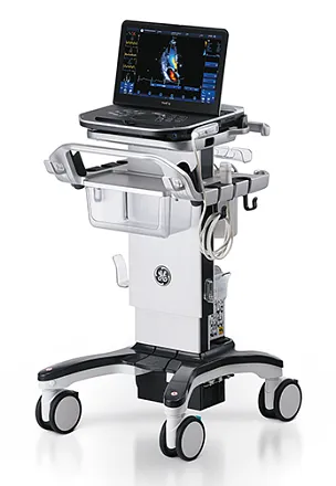 Ультразвуковая диагностическая система GE HealthCare Vivid iQ портативная