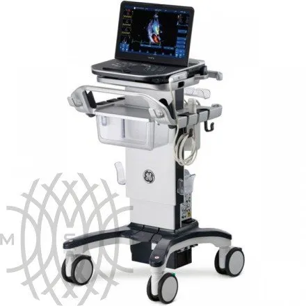 Ультразвуковая диагностическая система GE HealthCare Vivid iQ портативная
